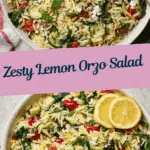Lemon Orzo Salad Recipe