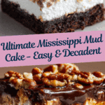 Mississippi Mud Cake Recipe