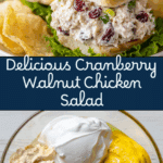 Cranberry Walnut Chicken Salad Recipe