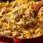 One Pot Chicken and Noodles Skillet Recipe