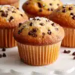 The Best Chocolate Chip Muffin Recipe