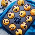Blueberry Avocado Mini Muffins Recipe