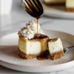 Mini Vanilla Cheesecakes Recipe