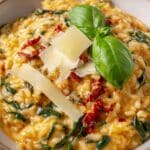 One Pot Creamy Spinach Sun-Dried Tomato Orzo Bake Recipe