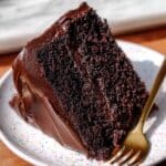 The BEST Moist Chocolate Cake Recipe