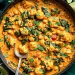 Chicken and Chickpea Curry Recipe