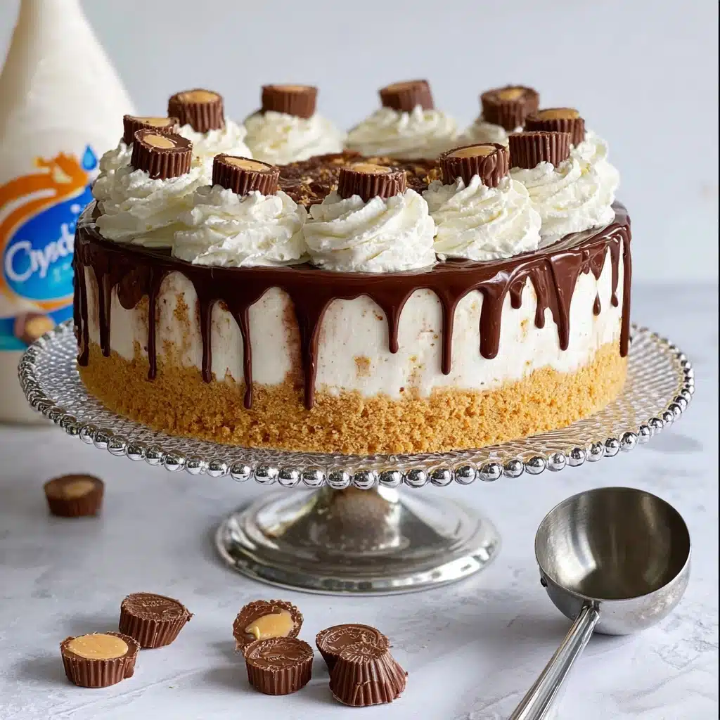 Chocolate Peanut Butter Ice Cream Cake Recipe - Recipe Image