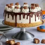 Chocolate Peanut Butter Ice Cream Cake Recipe
