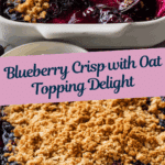 Blueberry Crisp with Oat Topping Delight