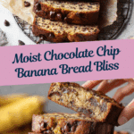 Super Moist Chocolate Chip Banana Bread Recipe