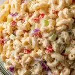 Best Macaroni Salad Recipe with Mayo Recipe