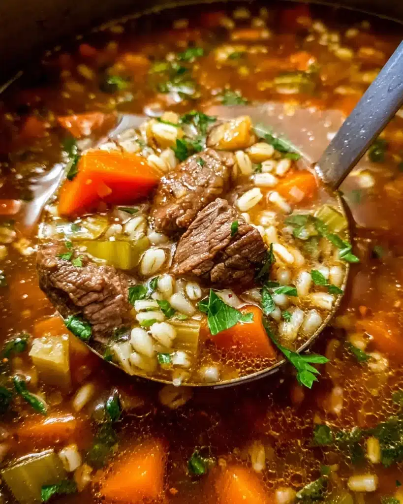 Beef Barley Soup Recipe