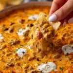 Tex-Mex Beef Queso Dip Recipe