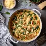 One Pot Chicken Orzo Recipe