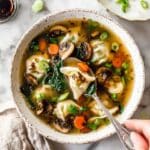 Potsticker Soup Recipe