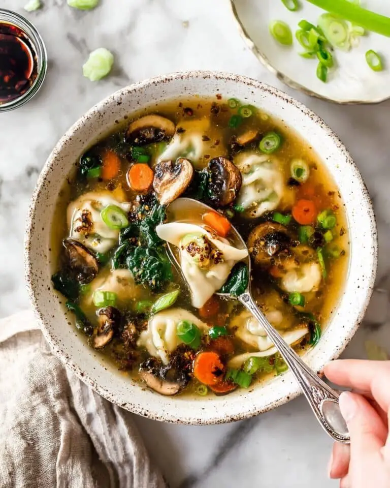 Potsticker Soup Recipe