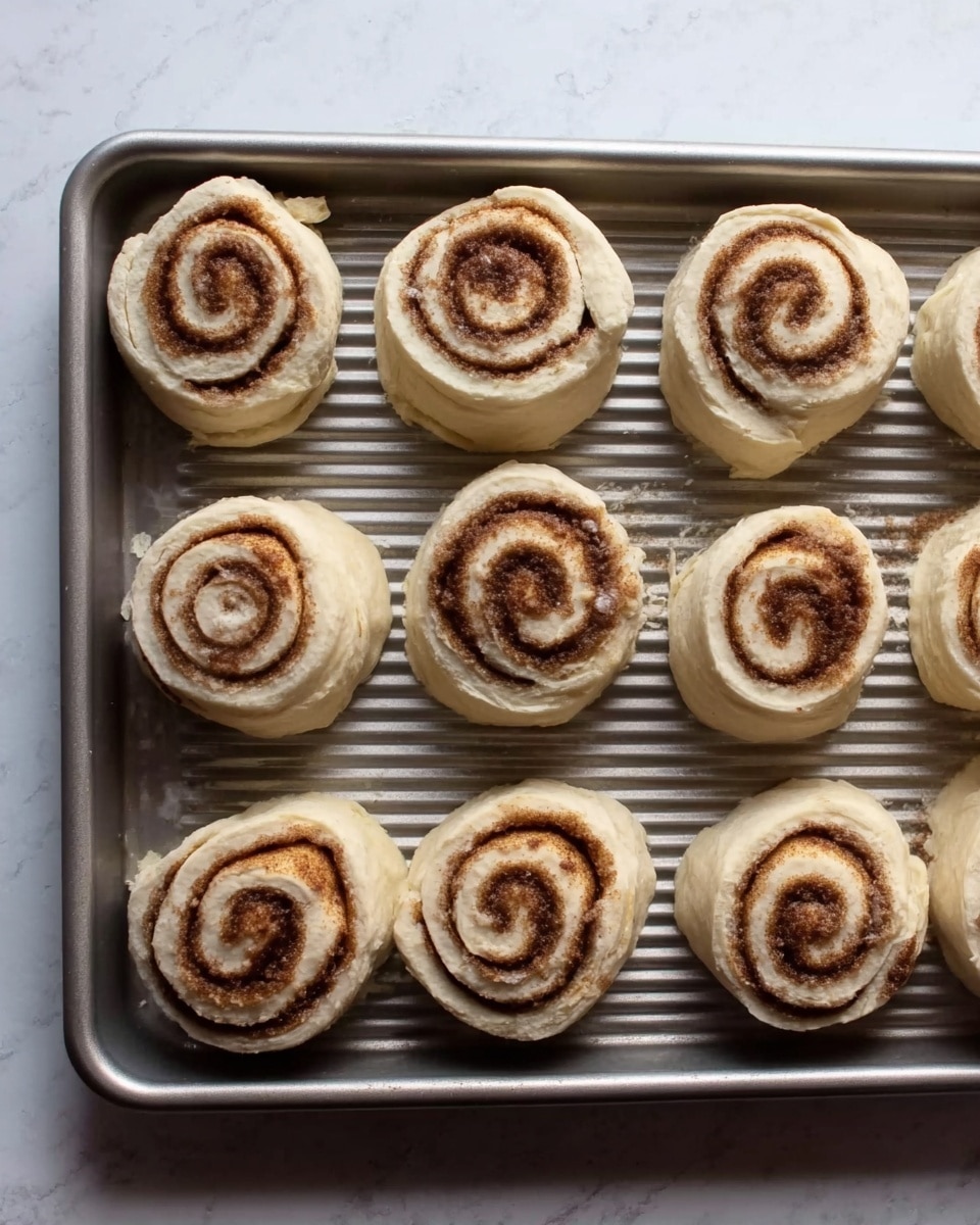 The image shows a metallic baking tray with nine raw cinnamon rolls arranged in three rows. Each cinnamon roll has two visible layers: the first is a light cream dough that forms the roll’s body and outer swirl, and the second is a dark brown cinnamon sugar filling spiraled inside. The rolls are evenly spaced on the tray, showing the texture of the dough with slight imperfections, and the cinnamon filling has a grainy look. The tray itself has ridges running horizontally and a textured surface. The background is a white marbled texture. photo taken with an iphone --ar 4:5 --v 7
