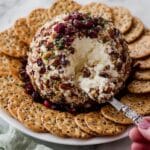 Cranberry Pecan Cheese Ball Appetizer Recipe