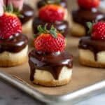 Chocolate Dipped Strawberry Cheesecake Recipe