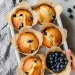 Blueberry Protein Muffins Recipe