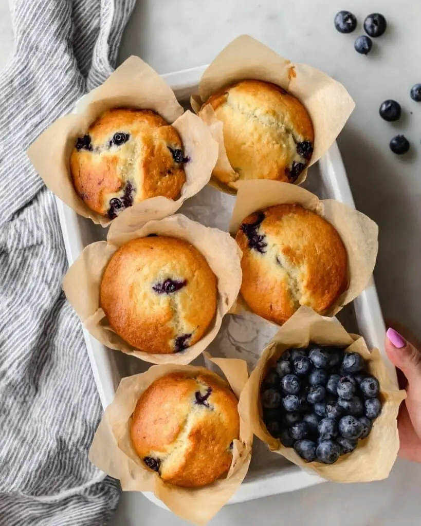 Blueberry Protein Muffins Recipe