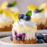 Lemon Blueberry Mini Cheesecakes Recipe