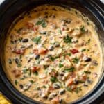 Slow Cooker Queso Chicken Dip Recipe