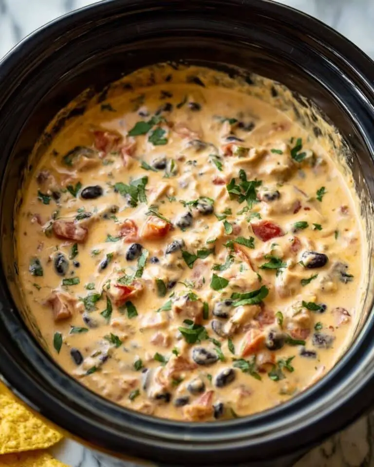 Slow Cooker Queso Chicken Dip Recipe