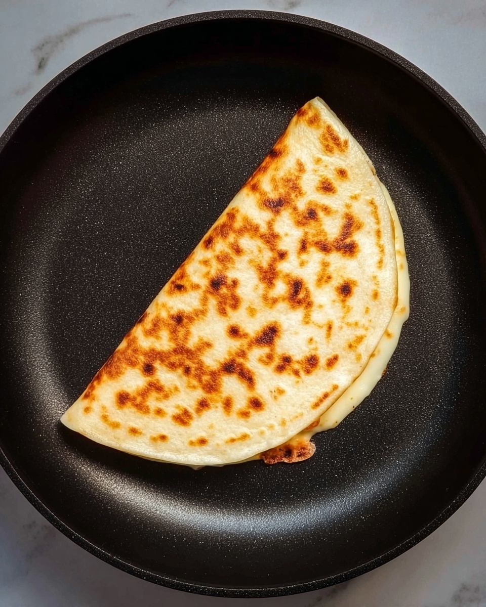 A single folded tortilla with a golden brown, slightly spotted surface showing it is cooked, placed flat in a black pan with a smooth texture. The tortilla is folded in half, with the edges neat and a small bit of melted cheese visible at the open side. The pan sits on a white marbled surface. photo taken with an iphone --ar 4:5 --v 7
