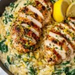 Lemon Chicken Orzo Recipe