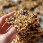 4 Ingredient Banana Oatmeal Cookies (Healthy & Easy) Recipe