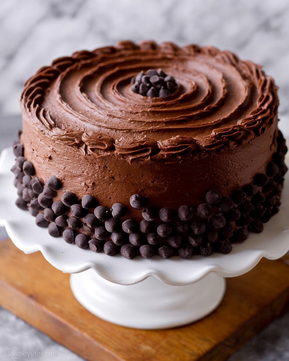 The image shows a round, two-layer chocolate cake covered in smooth, rich chocolate frosting. The top layer has a spiral pattern of frosting with a small circle of dark chocolate chips in the center. The sides of the cake are decorated with rows of dark chocolate chips arranged in neat, horizontal lines. The cake sits on a white scalloped-edge cake stand with a wooden surface below and a white marbled background. The texture of the frosting looks creamy and thick. Photo taken with an iphone --ar 4:5 --v 7