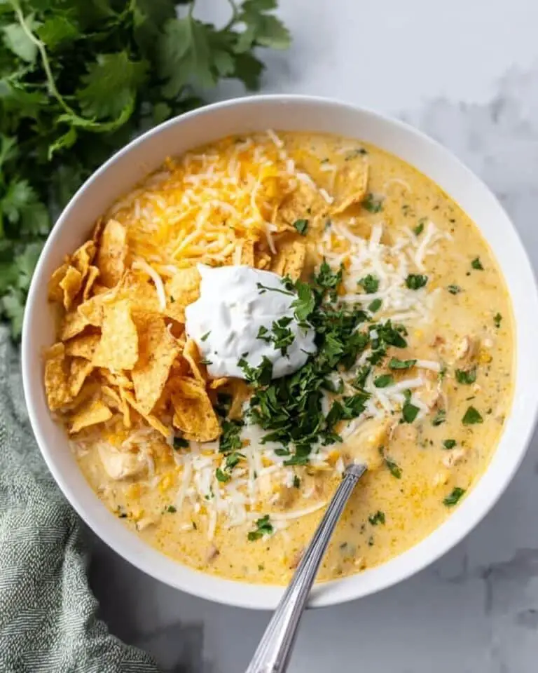 Green Enchilada Chicken Soup Recipe