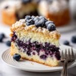 Blueberry Sour Cream Coffee Cake with Crispy Streusel Topping Recipe