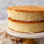 The Best Moist Sponge Cake Recipe