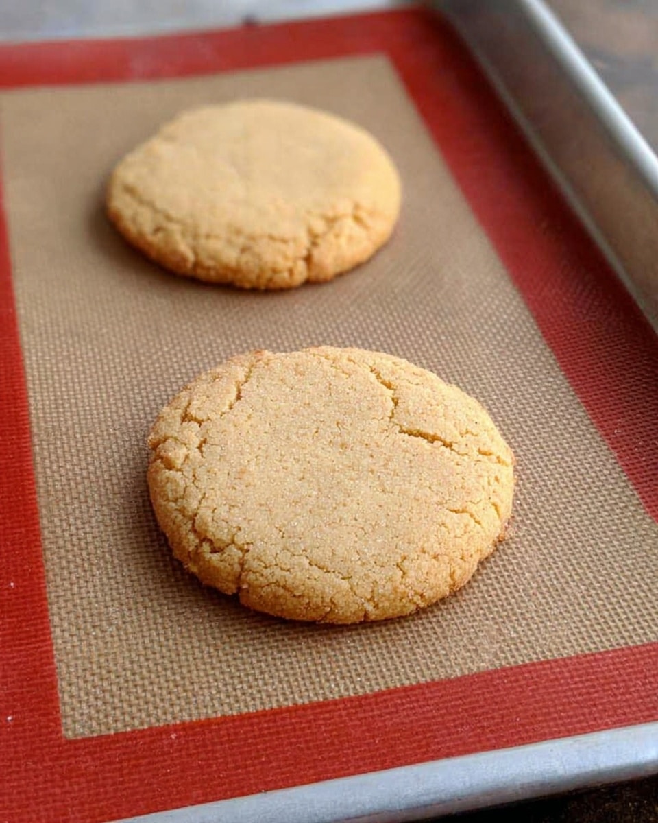 Two round, flat cookies with a light golden brown color and slightly rough, crumbly texture sit on a silicone baking mat that is red-edged and placed on a metal baking tray with a white marbled surface underneath. The cookies have small cracks on their surfaces and slightly crimped edges, showing a homemade, rustic look. photo taken with an iphone --ar 4:5 --v 7