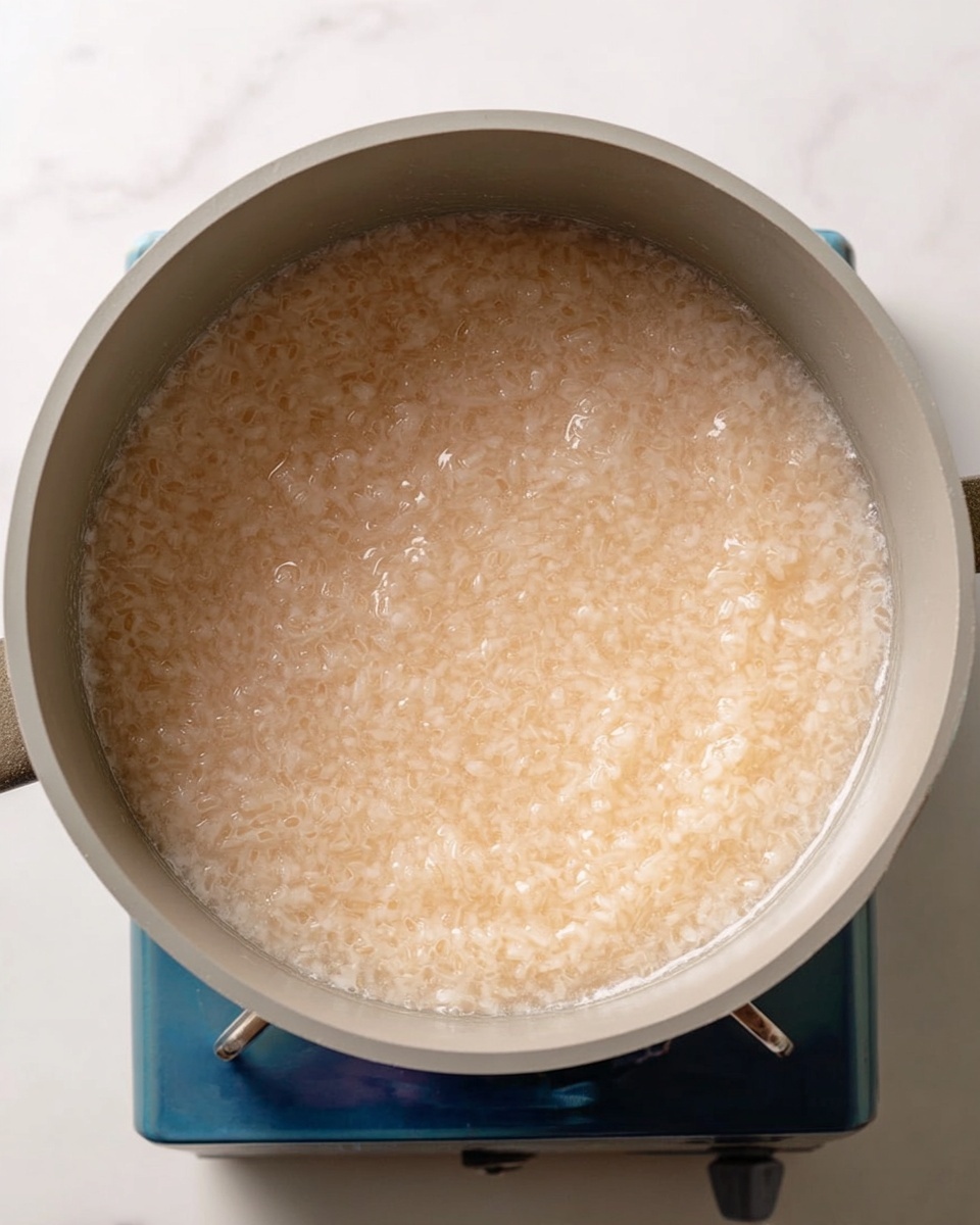 This image shows a large gray pot filled with a single layer of cooked rice porridge, which looks soft and slightly watery with a light tan color and small, swollen rice grains. The pot sits on a blue portable stove, all set on a flat white marbled surface. There are no other layers or ingredients visible, just the smooth, thick porridge inside the pot. Photo taken with an iphone --ar 4:5 --v 7