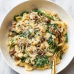 Italian Sausage Orzo Recipe