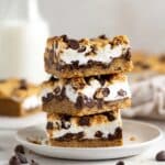 Gluten-Free S'mores Bars Recipe