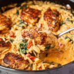 Creamy Sun-Dried Tomato Chicken Orzo Recipe