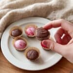 Raspberry Yogurt Bites Recipe