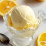 Lemon Frozen Yogurt Recipe