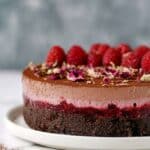 Chocolate Mousse Raspberry Cake Recipe