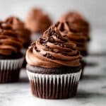Chocolate Cupcakes with Rich Cocoa Frosting Recipe