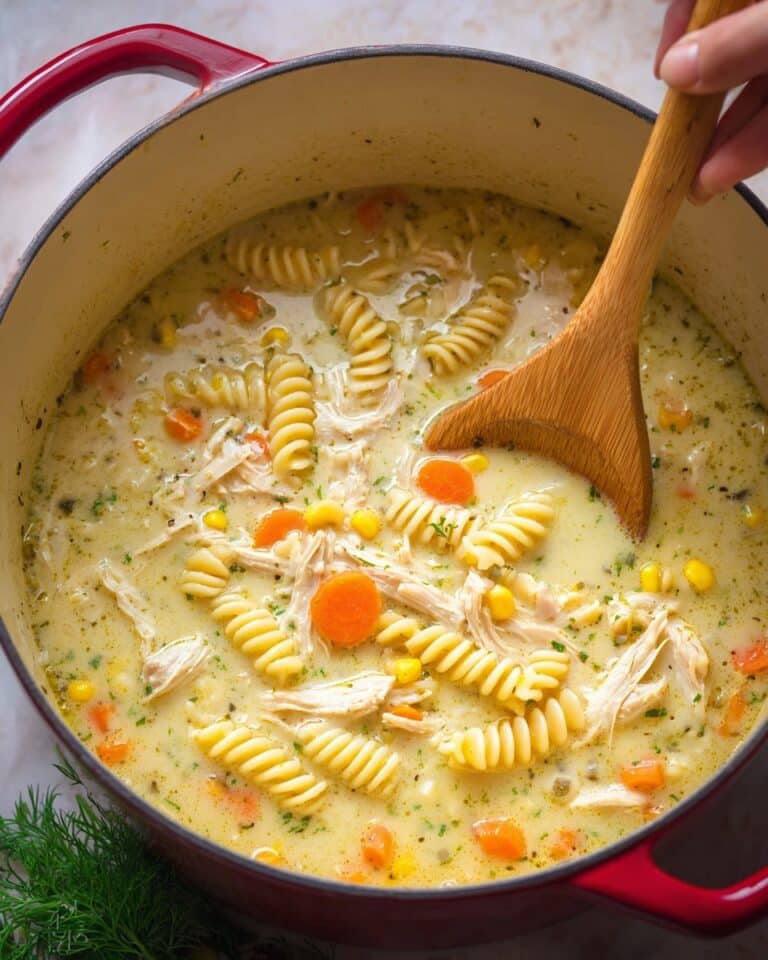 Creamy Chicken Noodle Soup Recipe