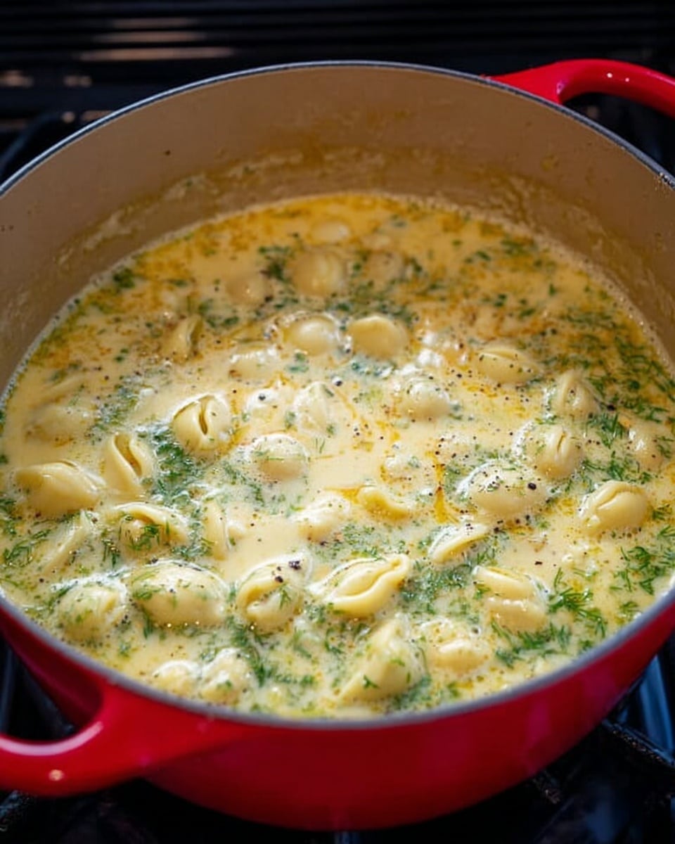 A large red pot filled with creamy soup that has small pasta shells floating on the surface. The soup is light yellow with swirls of green herbs and small black specks of pepper. The pot is placed on a black stove, and the edges of the pot show a glossy finish. The soup looks warm and thick with a smooth texture and some small bubbles on top. Photo taken with an iphone --ar 4:5 --v 7