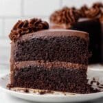 One-Bowl Chocolate Fudge Cake (SO Moist!) Recipe