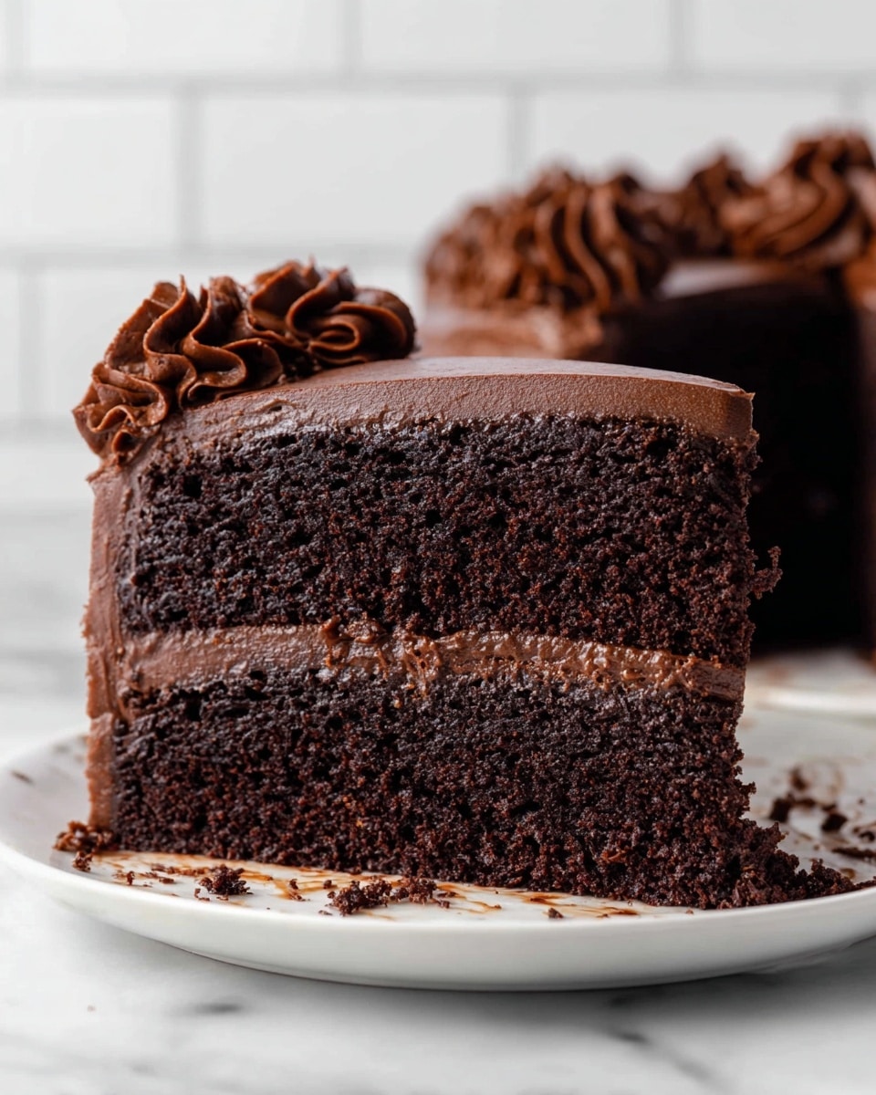 One-Bowl Chocolate Fudge Cake (SO Moist!) Recipe