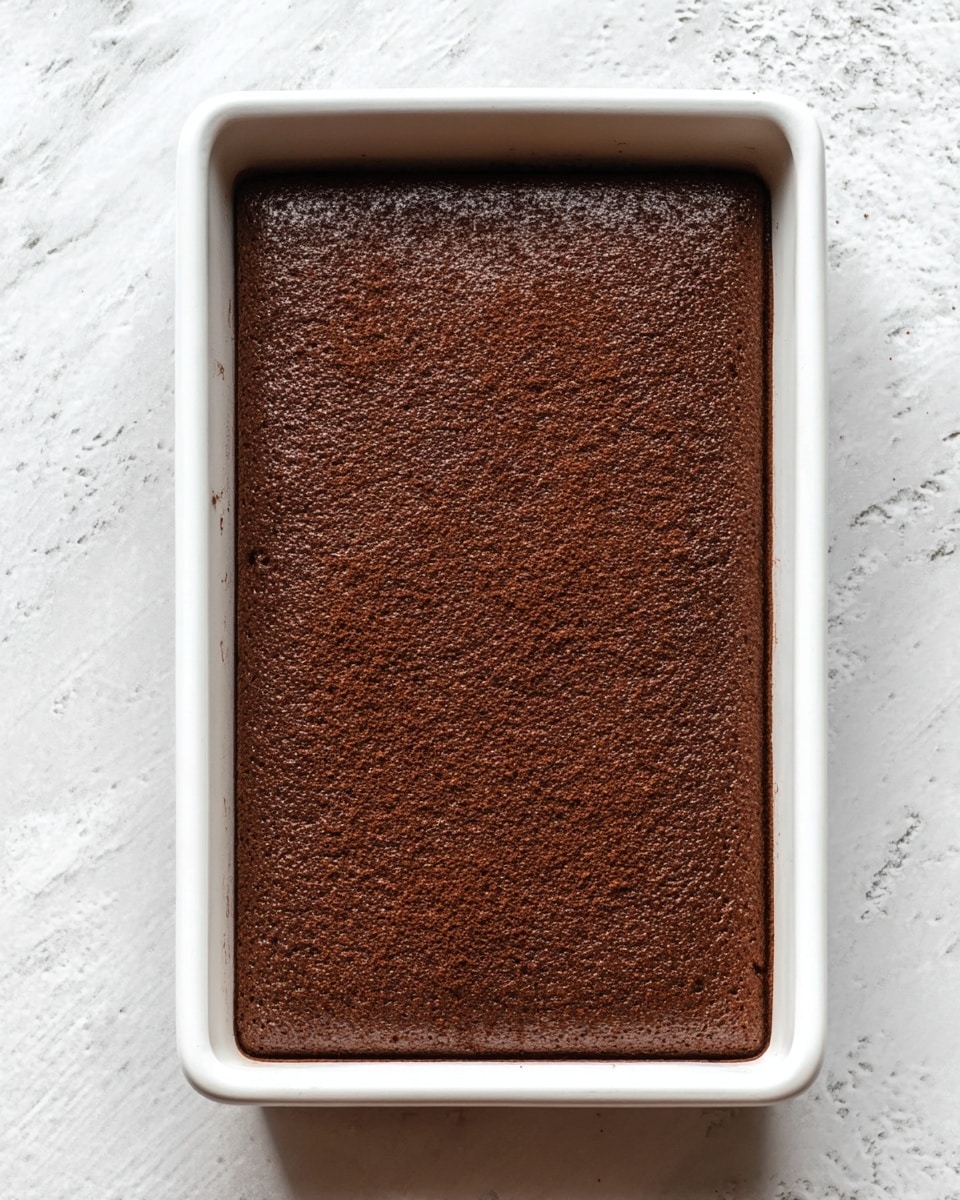 A rectangular single-layer chocolate cake with a smooth, slightly rough top surface is shown inside a white baking pan. The cake is deep brown in color and fits snugly within the edges of the pan. The background is a white marbled texture. Photo taken with an iphone --ar 4:5 --v 7