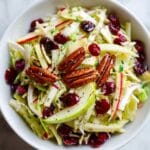 Apple Cranberry Pecan Coleslaw Recipe